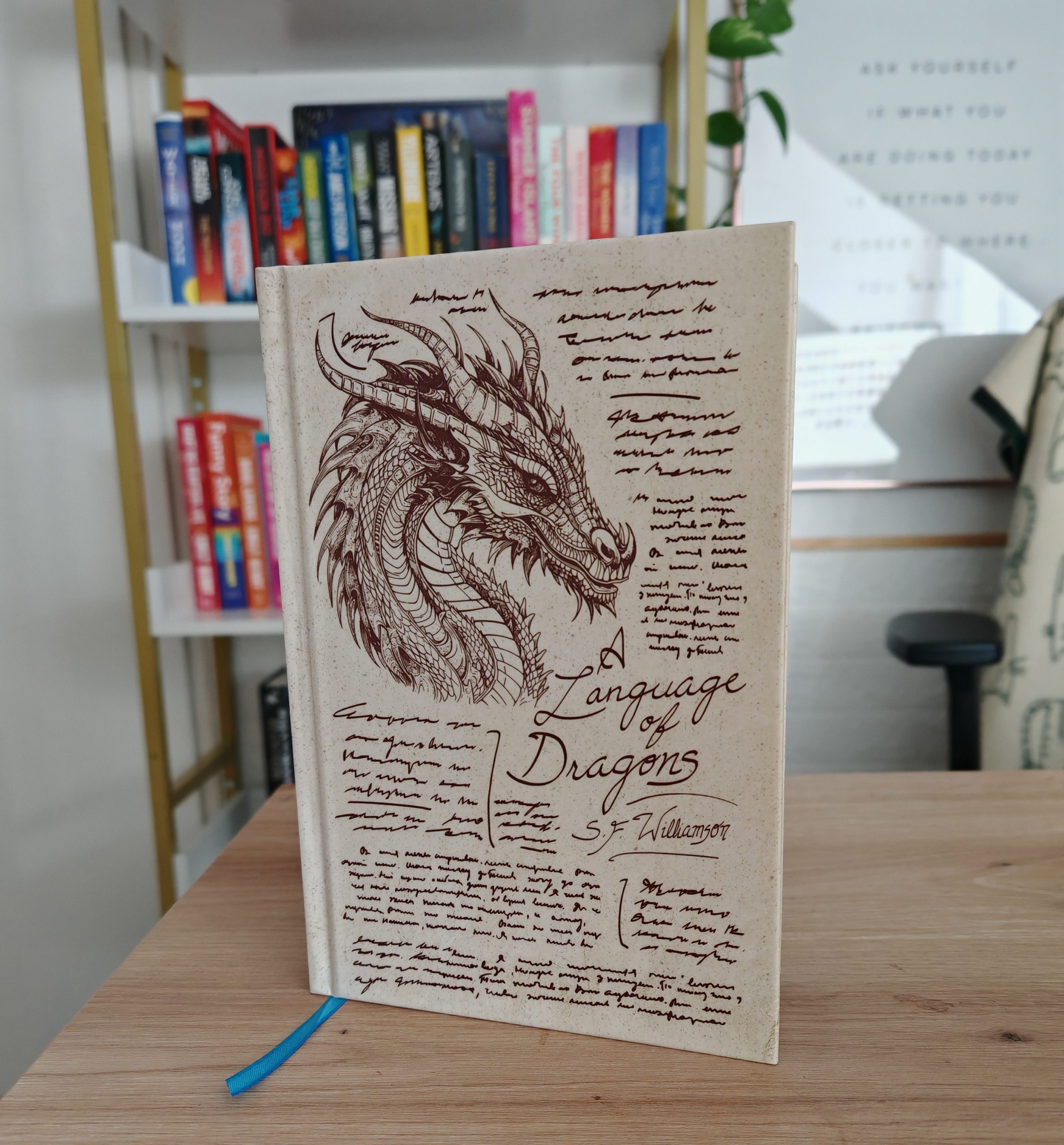 Review A Language of Dragons by S.F. Williamson (4)
