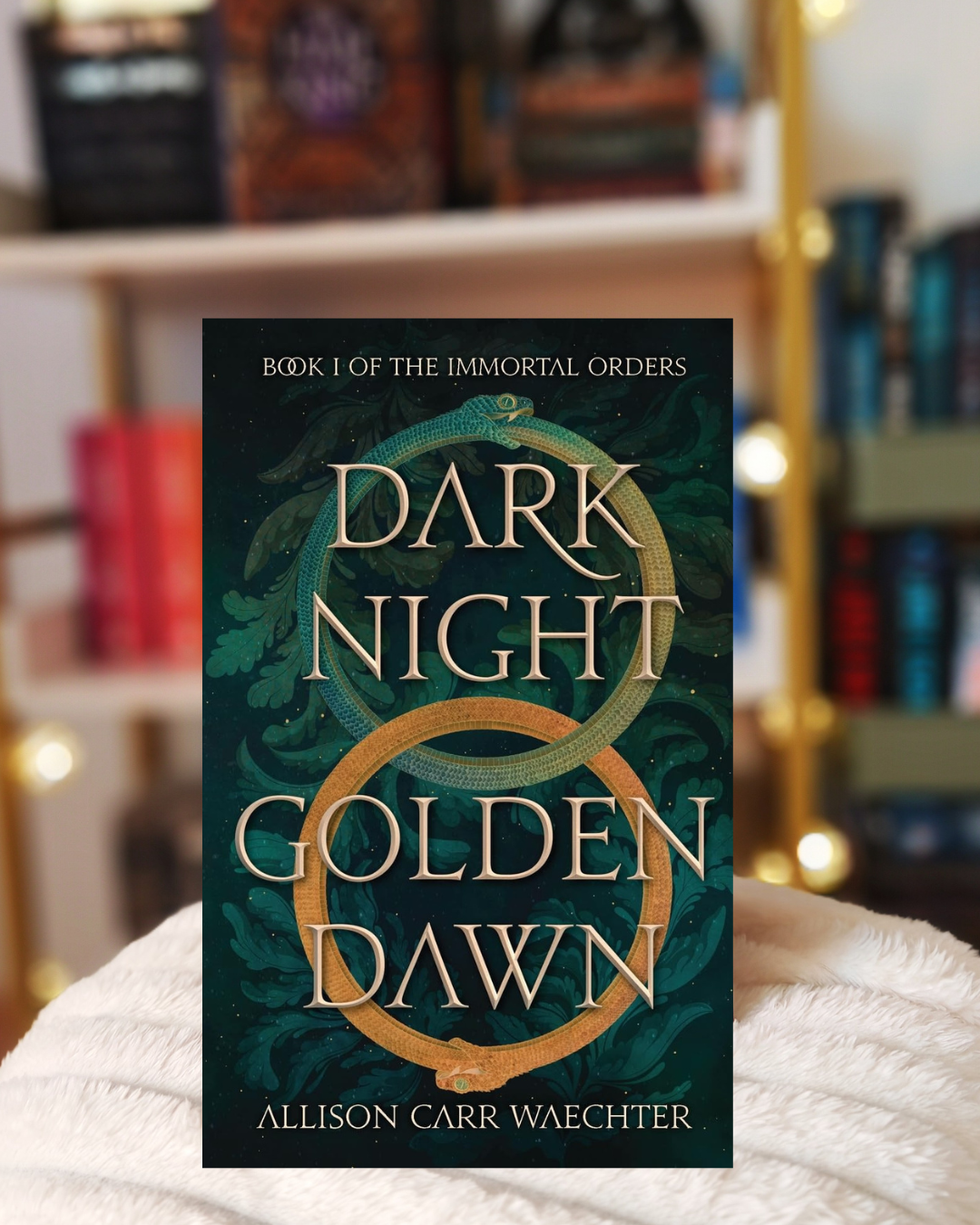 Review Dark Night Golden Dawn by Allison Carr Waechter