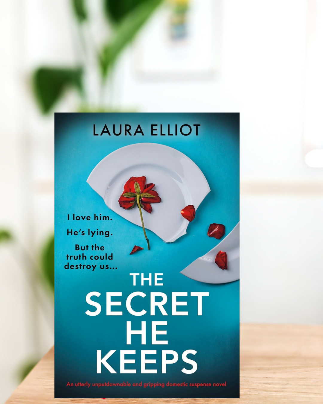 Review The Secret He Keeps by Laura Elliot