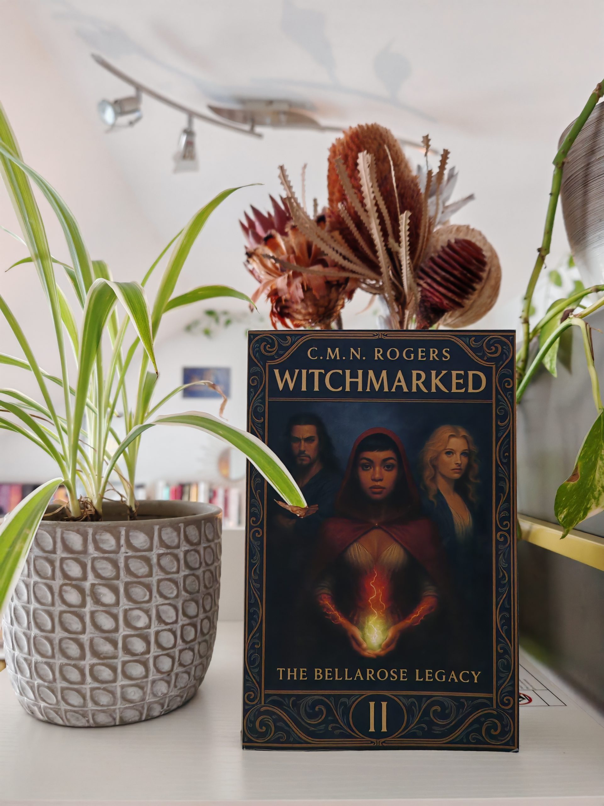 Review Witchmarked by C.M.N. Rogers