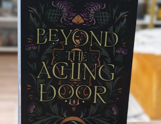 Review Beyond the Aching Door by Victoria Mier