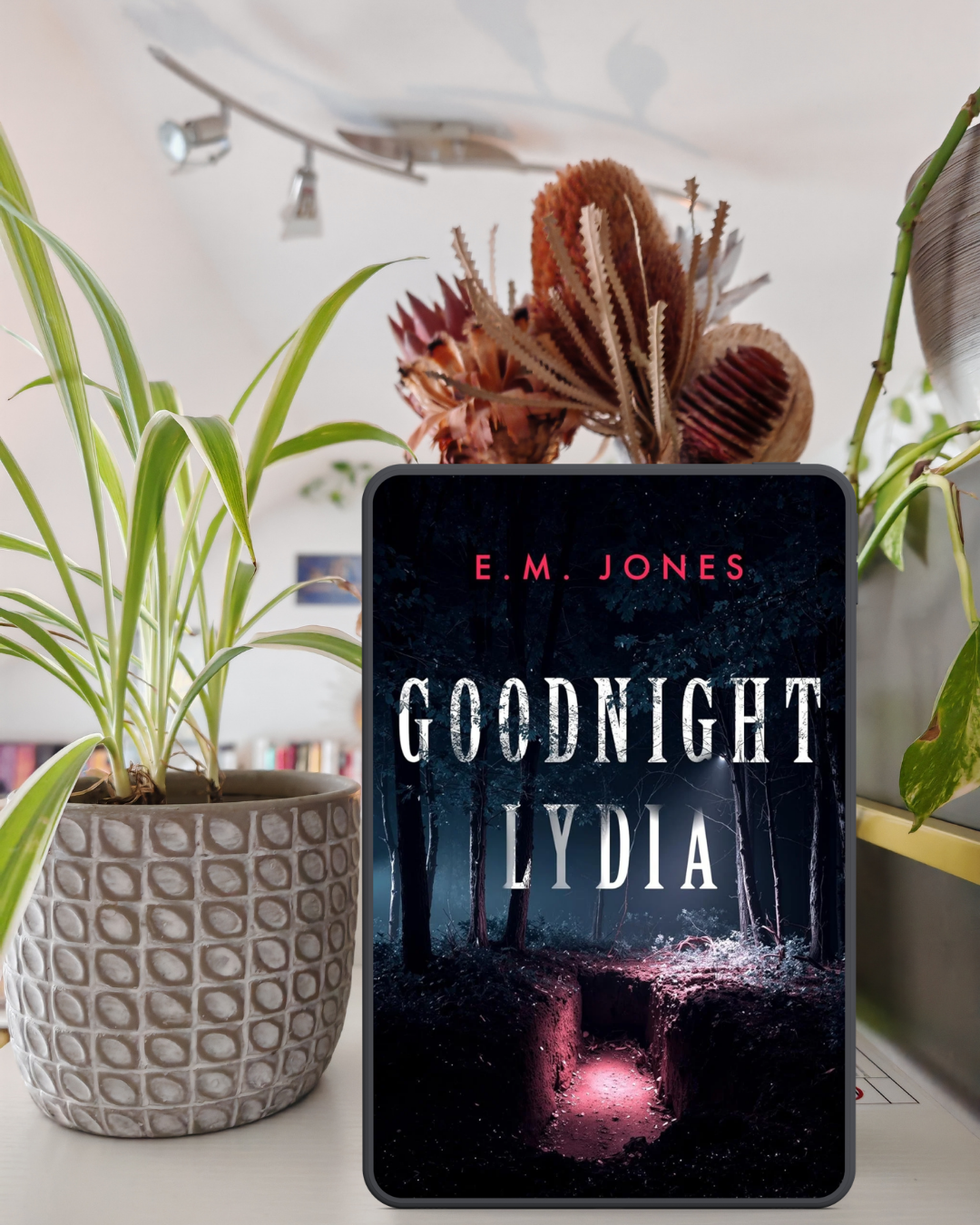 Review Goodnight Lydia by E. M. Jones