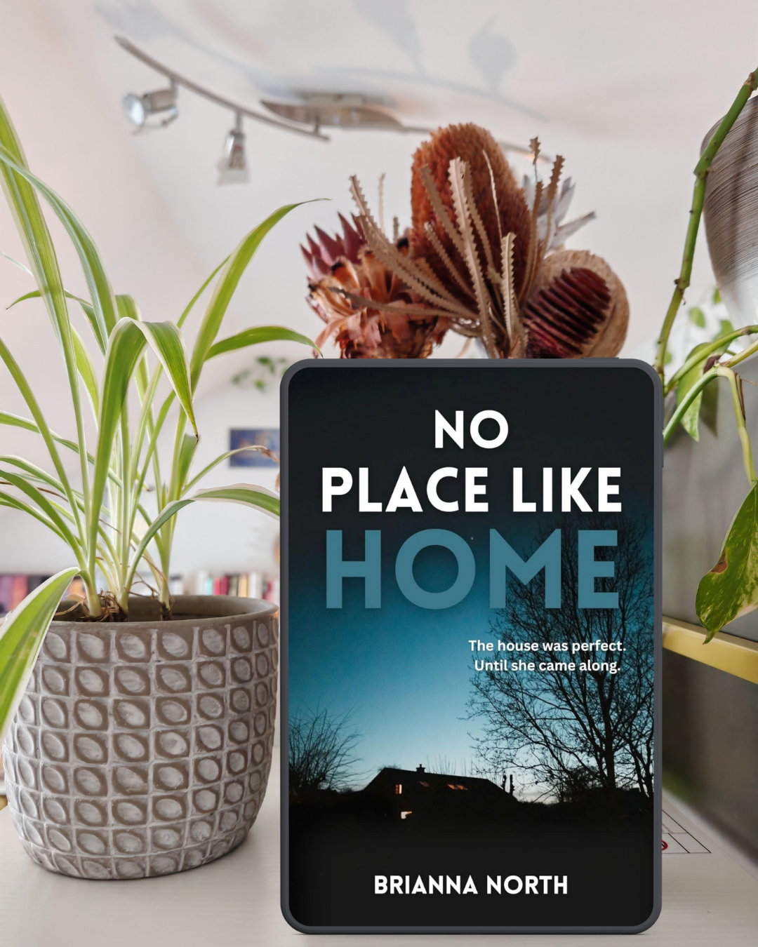 Review No Place Like Home by Brianna North