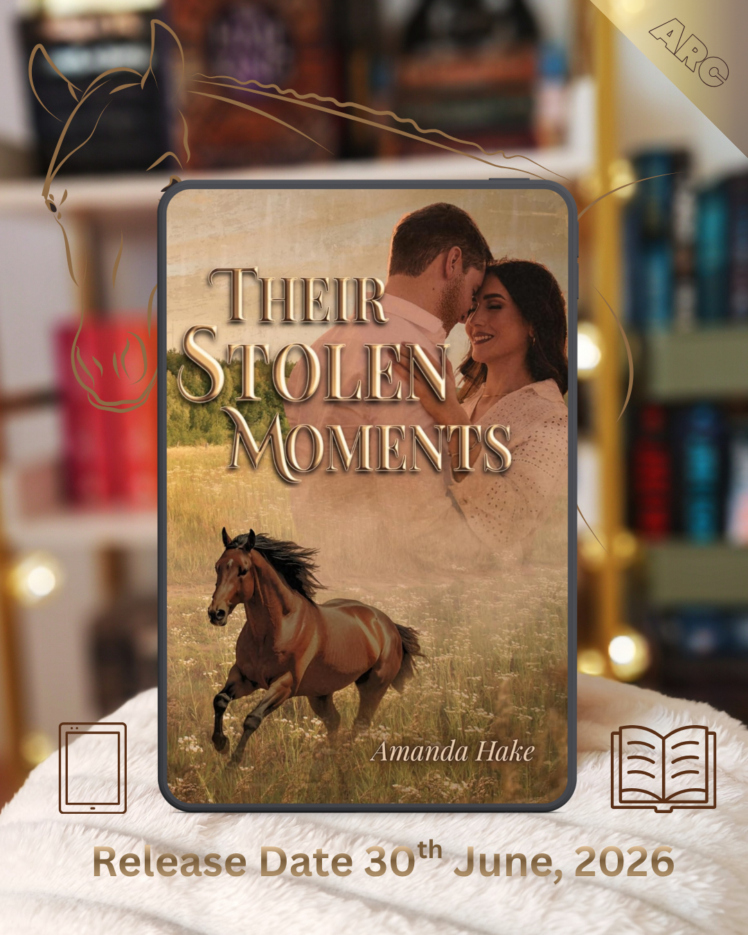 Review Their Stolen Moments by Amanda Hake