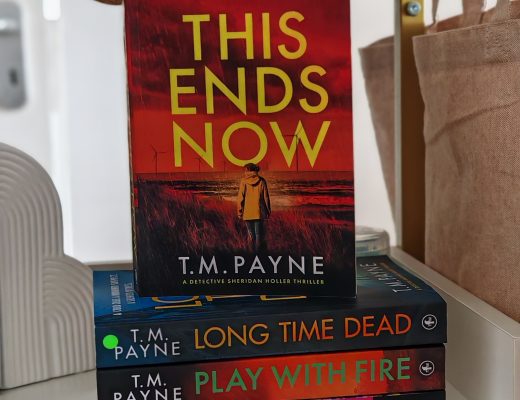 Review This Ends Now by T.M. Payne