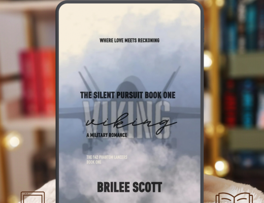 Review Viking by Brilee Scott