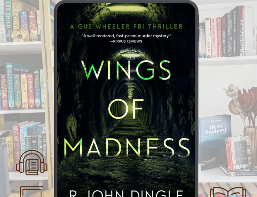 Review Wings of Madness by R. John Dingle