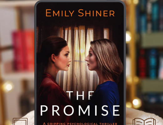 Review The Promise by Emily Shiner